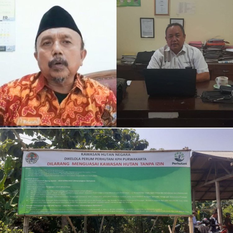 Klarifikasi Tuntas! Yayat Menyangkal Data di Blok Cijengkol, Namun Elyasa Berikan Argumentasi Tajam kepada Cellica