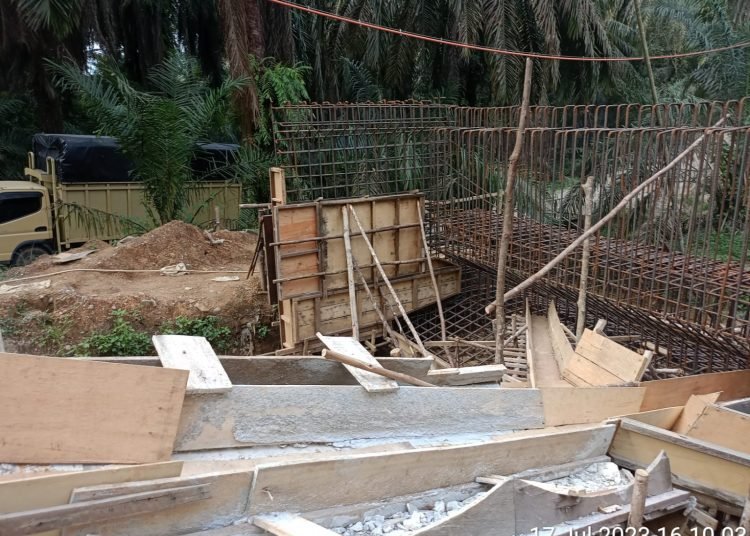 DPP-SPKN Minta Kepada Gubernur Riau Evaluasi Pejabat Di Dinas PUPR PKPP Riau