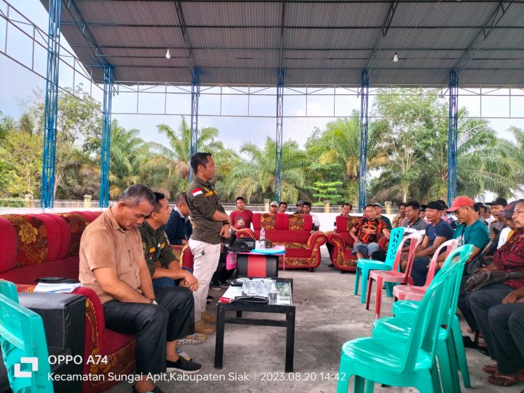 Kebun Kelapa Sawit PT TRIO MAS FDI Di Anggap Kangkangi Permentan No.26 Pasal 11 Tahun 2007 Dan UU No. 39 Tahun 2014