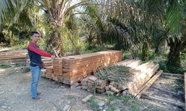 Kembali, Kapolsek Kampar Kiri Tangkap Kayu Pecahan Tidak Bertuan