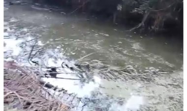 "Masyarakat Desa Terang Bulan Kabupaten Labuhan Batu Utara  Memohon Keadilan"