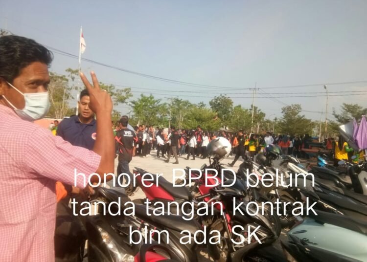 Rencana Pelaksanaan Kepala BPBD Rohil, Ary Dharna Putra, Seperti yang Dijelaskan oleh Bupati