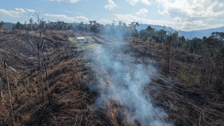Pelaku Pembakaran Lahan di Hutan Produksi Terbatas Tanjung Medan Ditangkap