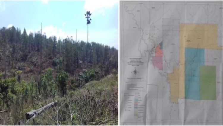 Satgas Inti Prabowo Desak Tegakkan Hukum atas Dugaan Perusakan Hutan Teso Nilo