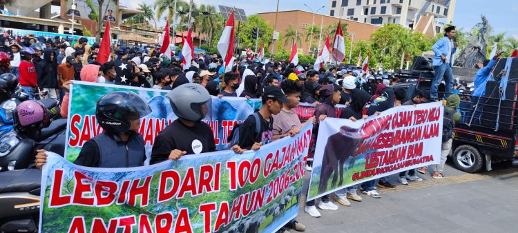 Gelar Demo, Aliansi Masyarakat Penyelamat Habitat Gajah Provinsi Riau Dukung Penertiban TNTN