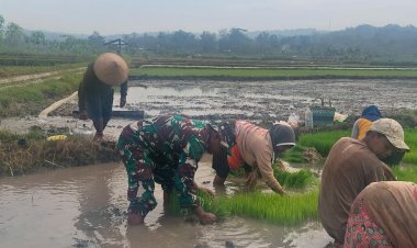 Babinsa Simo Dampingi Petani Percepat Tanam Padi di Boyolali