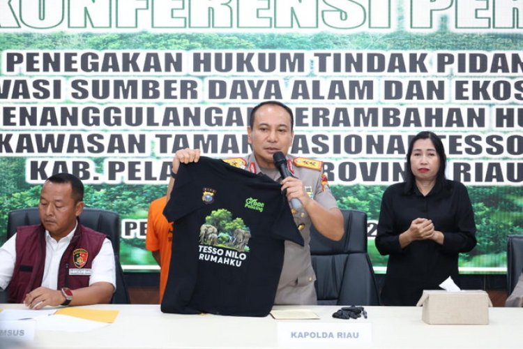 Polda Riau Tangkap Dua Cukong Perambah TNTN Seluas 401 Hektare