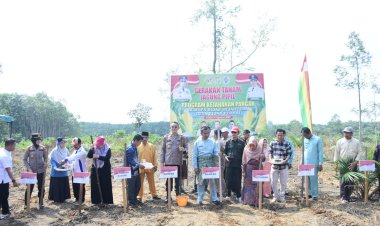 Pemkab Kampar Komitmen Wujudkan Ketahanan Pangan Nasional, Bupati Tanam Jagung Pipil