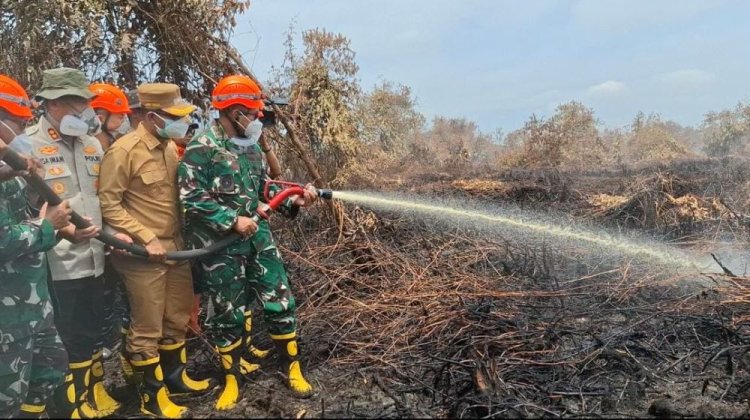 Pangdam I/BB Turun Langsung Padamkan Karhutla di Rokan Hilir