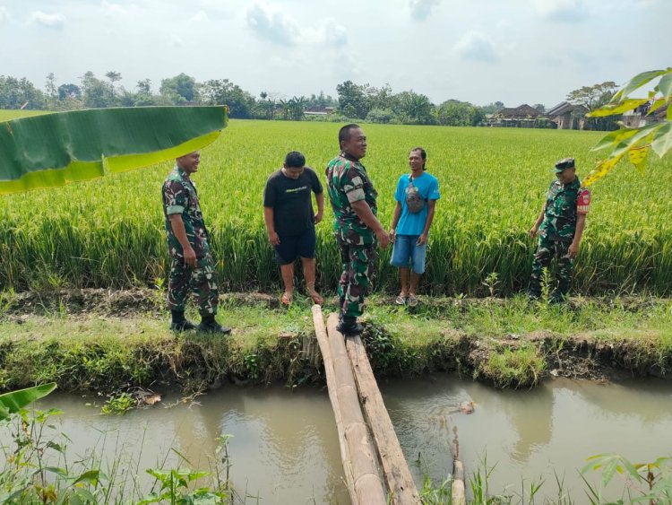 Babinsa Sragen Pastikan Irigasi Lancar, Dukung Ketahanan Pangan Nasional