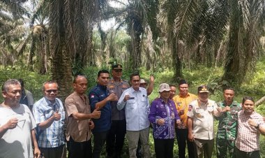 Pemkab Rohil dan Rohul Tinjau Batas Daerah di Sei Meranti