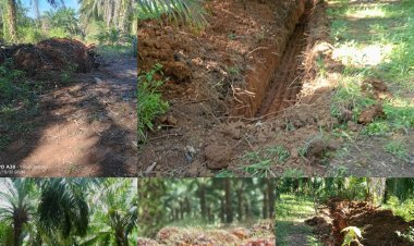 Nagari Lingkuang Aua Barat Laporkan Dugaan Tanah Terlantar ke BPN Pasbar