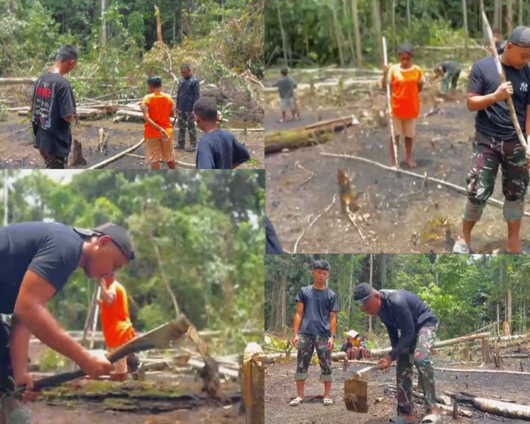 Satgas Yonif 763/SBA dan Warga Joshiro Tanam Sayur Meriahkan HUT TNI ke-80