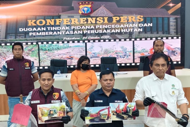IRT Perambah 13 Hektare di Giam Siak Kecil Ditangkap