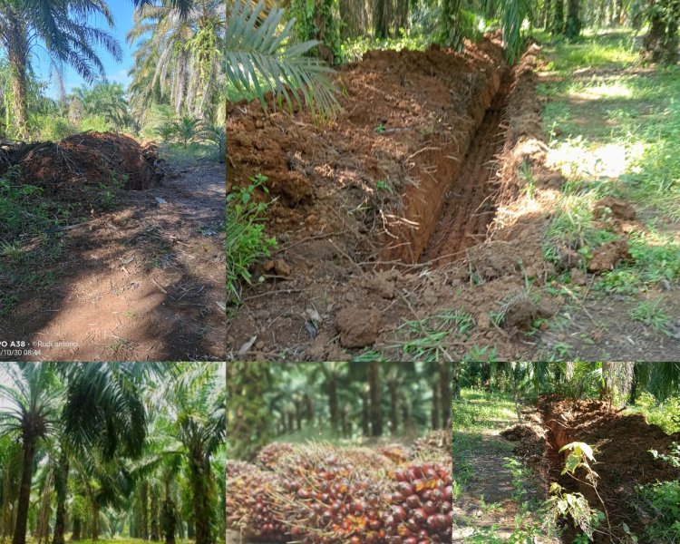 Nagari Lingkuang Aua Barat Laporkan Dugaan Tanah Terlantar ke BPN Pasbar