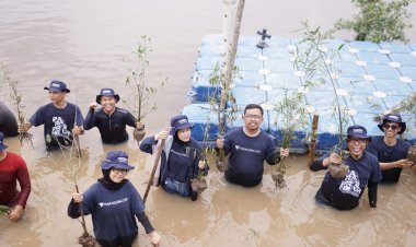 DT Peduli Riau dan Paragoncorp Tanam Mangrove di Okura, Wujud Nyata Peduli Lingkungan