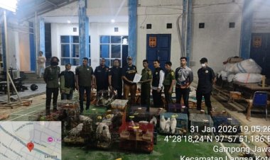 Gakkum Kehutanan Tersangka Penyelundupan Ratusan Satwa Dilindungi di Aceh