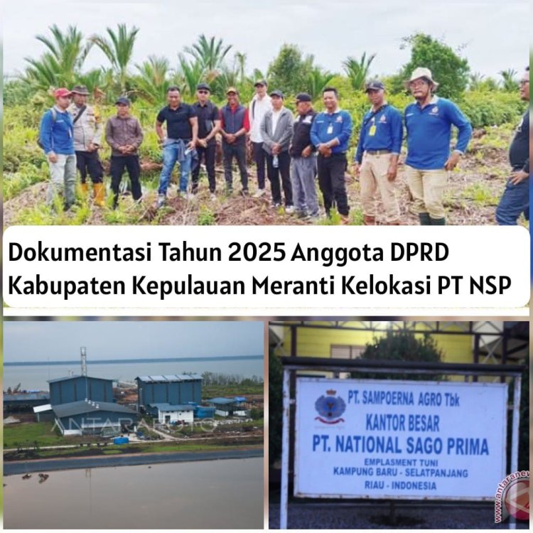 Catatan Lingkungan PT NSP: Karhutla, Ganti Rugi, dan Transparansi Data