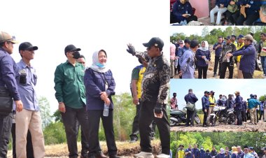 BNPP Tinjau Abrasi Parah Pulau Rangsang Meranti, Daratan Tergerus dan Sawah Terancam Hilang