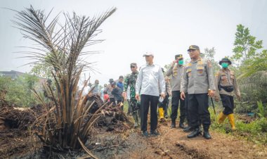 Wali Kota Dumai dan Kapolda Riau Tinjau Karhutla Tanjung Palas
