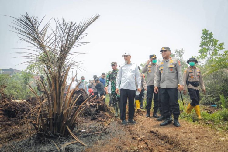 Wali Kota Dumai dan Kapolda Riau Tinjau Karhutla Tanjung Palas