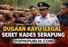 Kades Serapung Tersangkut Dugaan Kayu Ilegal, Dana Puluhan Juta Belum Kembali