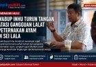 Wabup Inhu Turun Tangan Atasi Gangguan Lalat Peternakan Ayam Sei Lala