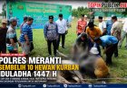 Polres Meranti Sembelih 10 Hewan Kurban Iduladha 1447 H