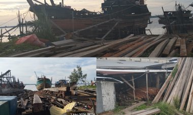 Galangan Kapal di Meranti Diduga Jadi Penadah Kayu Ilegal