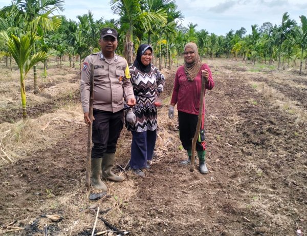 Polsek Merbau Cek Lahan Jagung Desa Bandul Dukung Swasembada Pangan