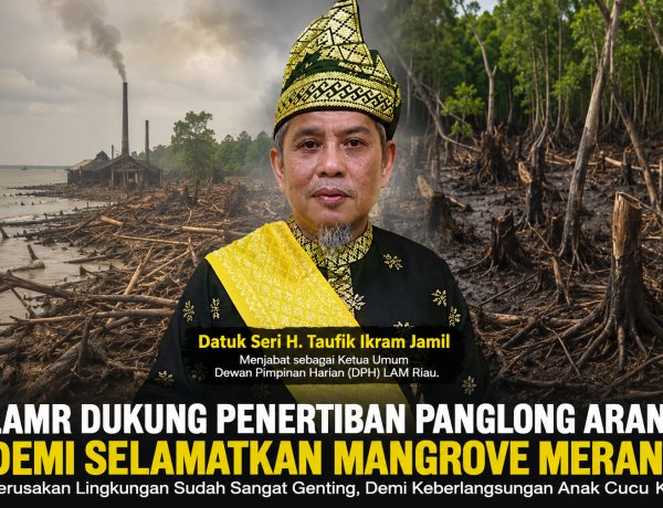 LAMR Dukung Penertiban Panglong Arang Demi Selamatkan Mangrove Meranti