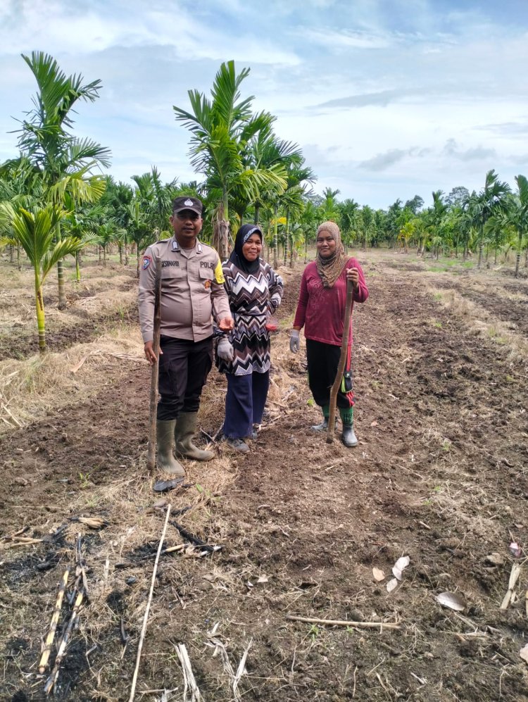 Polsek Merbau Cek Lahan Jagung Desa Bandul Dukung Swasembada Pangan