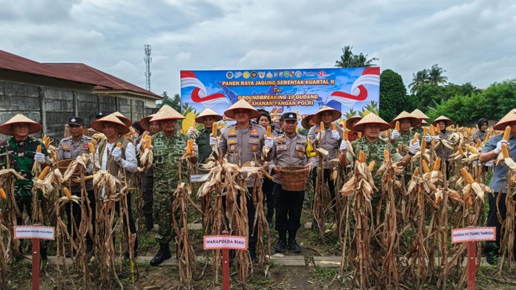 Dukung Swasembada Pangan, Wakapolda Riau Panen Raya Jagung di Pekanbaru