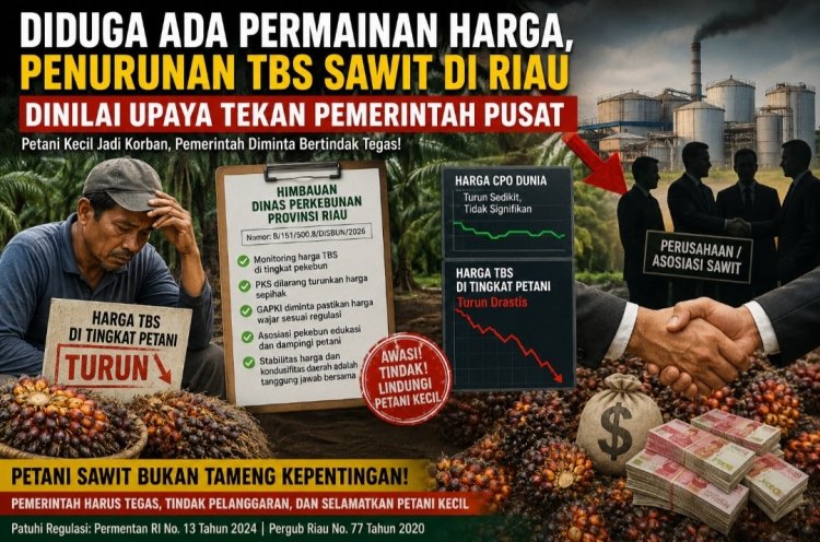 Diduga PKS Mainkan Harga Sawit Riau, Petani TBS Dirugikan