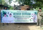 Pemerintah Kabupaten Dairi, Serahkan Hewan Kurban Ke Masjid Al-Ikhlas Alur Subur