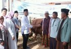 Dalam Merayakan Idul Adha 1447 H, Wakil Bupati Dairi Serahkan Bantuan Sapi Dari Presiden Prabowo Subianto