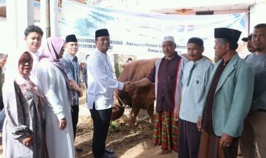 Dalam Merayakan Idul Adha 1447 H, Wakil Bupati Dairi Serahkan Bantuan Sapi Dari Presiden Prabowo Subianto