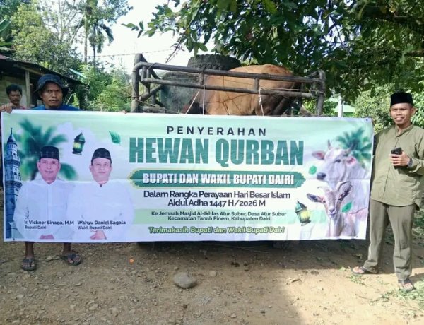 Pemerintah Kabupaten Dairi, Serahkan Hewan Kurban Ke Masjid Al-Ikhlas Alur Subur