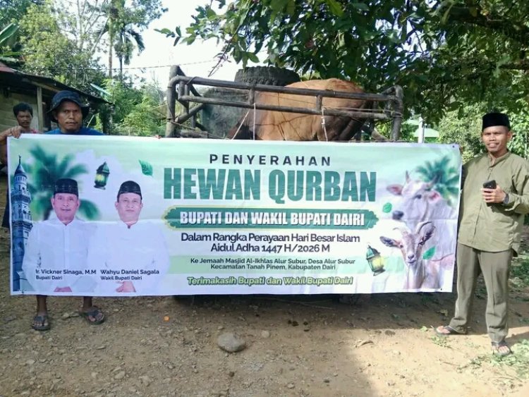 Pemerintah Kabupaten Dairi, Serahkan Hewan Kurban Ke Masjid Al-Ikhlas Alur Subur