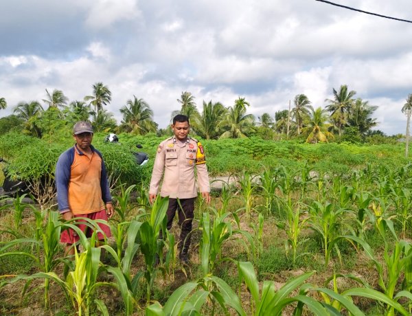 POLSEK TEBING TINGGI BARAT LAKUKAN PEMBINAAN PETANI DESA PADANG KAMAL. 