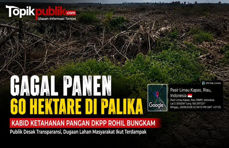 Kabid Ketahanan Pangan DKPP Rohil Bungkam Soal Gagal Panen 60 Hektare